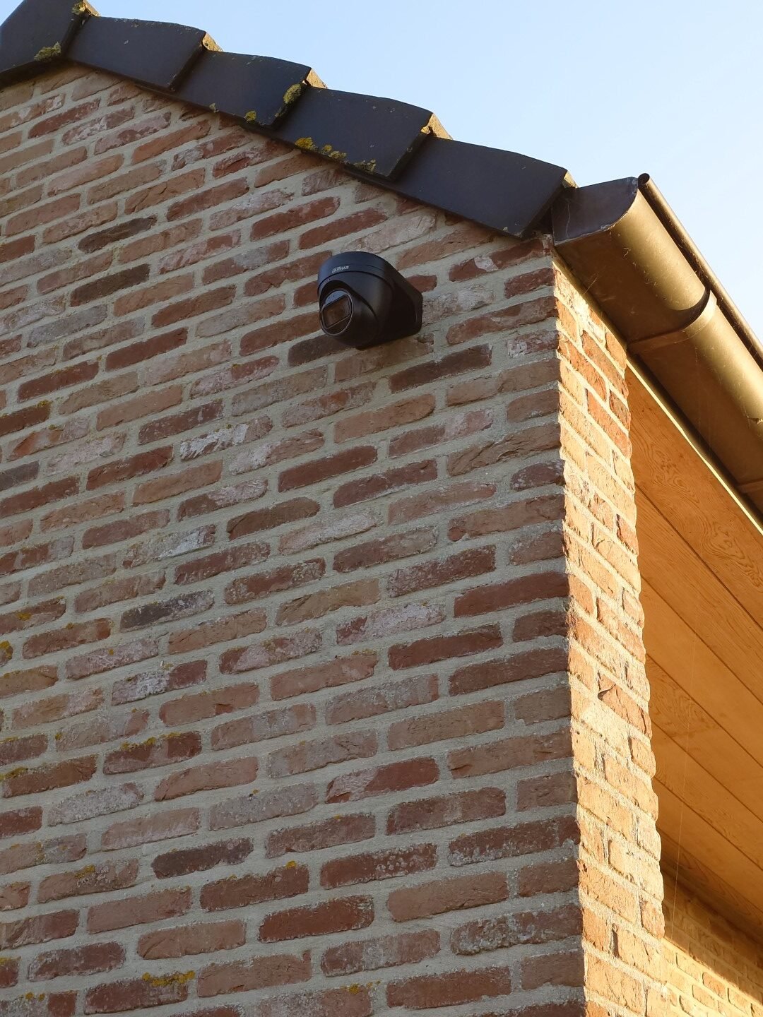 20250228_174424329 (Large)