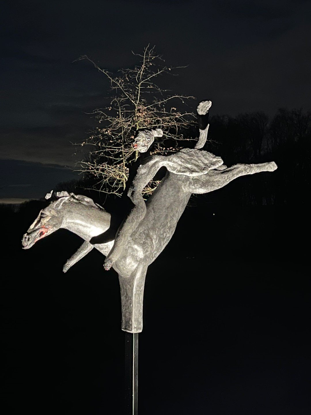 IMG-20240223-WA0031 (Large)